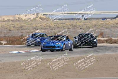 media/Nov-02-2025-Lotus Club of SoCal (Sun) [[dc384ab7f7]]/Novice Group/Cotton Corners/